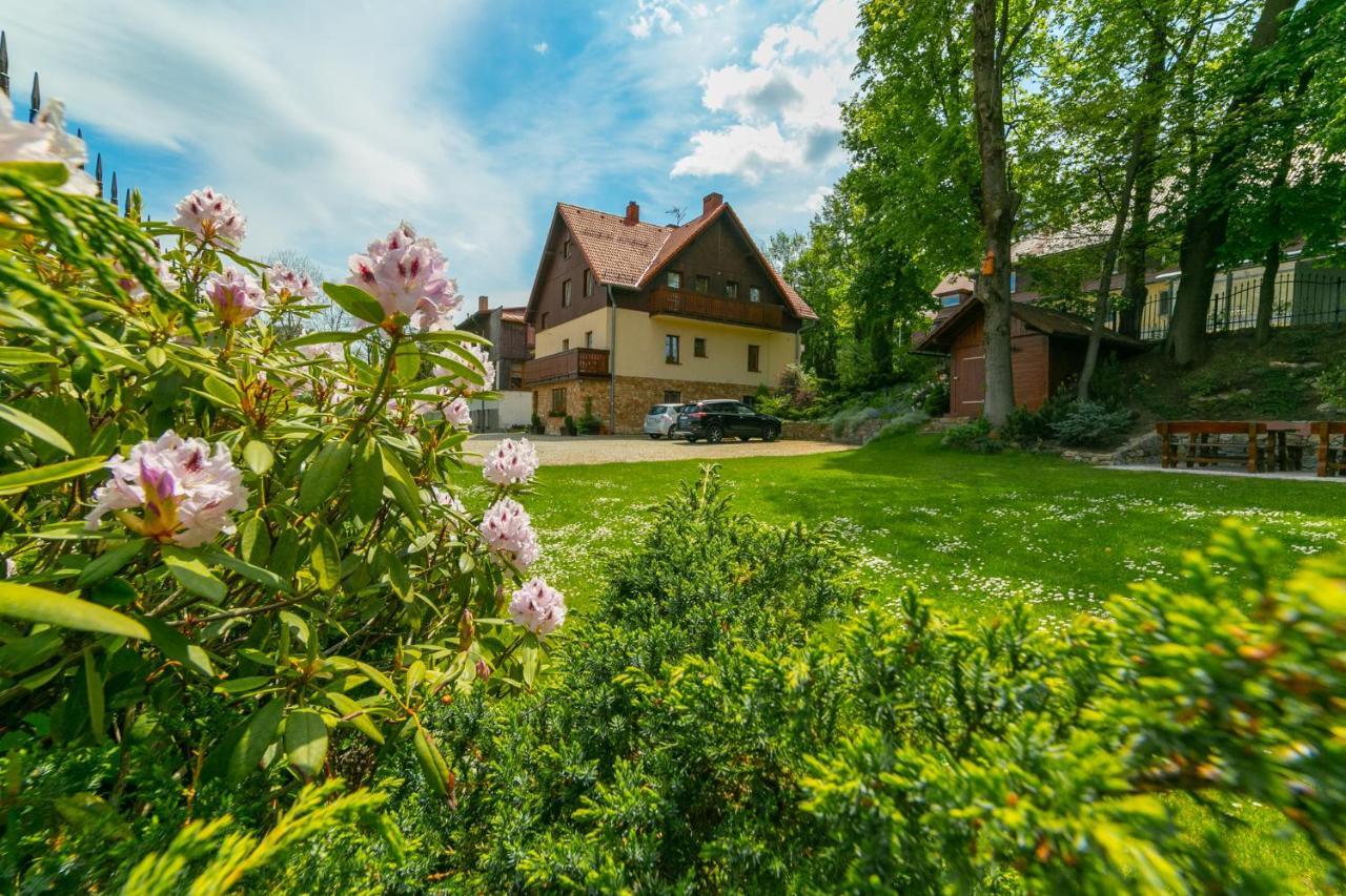 Sudety Guest house *